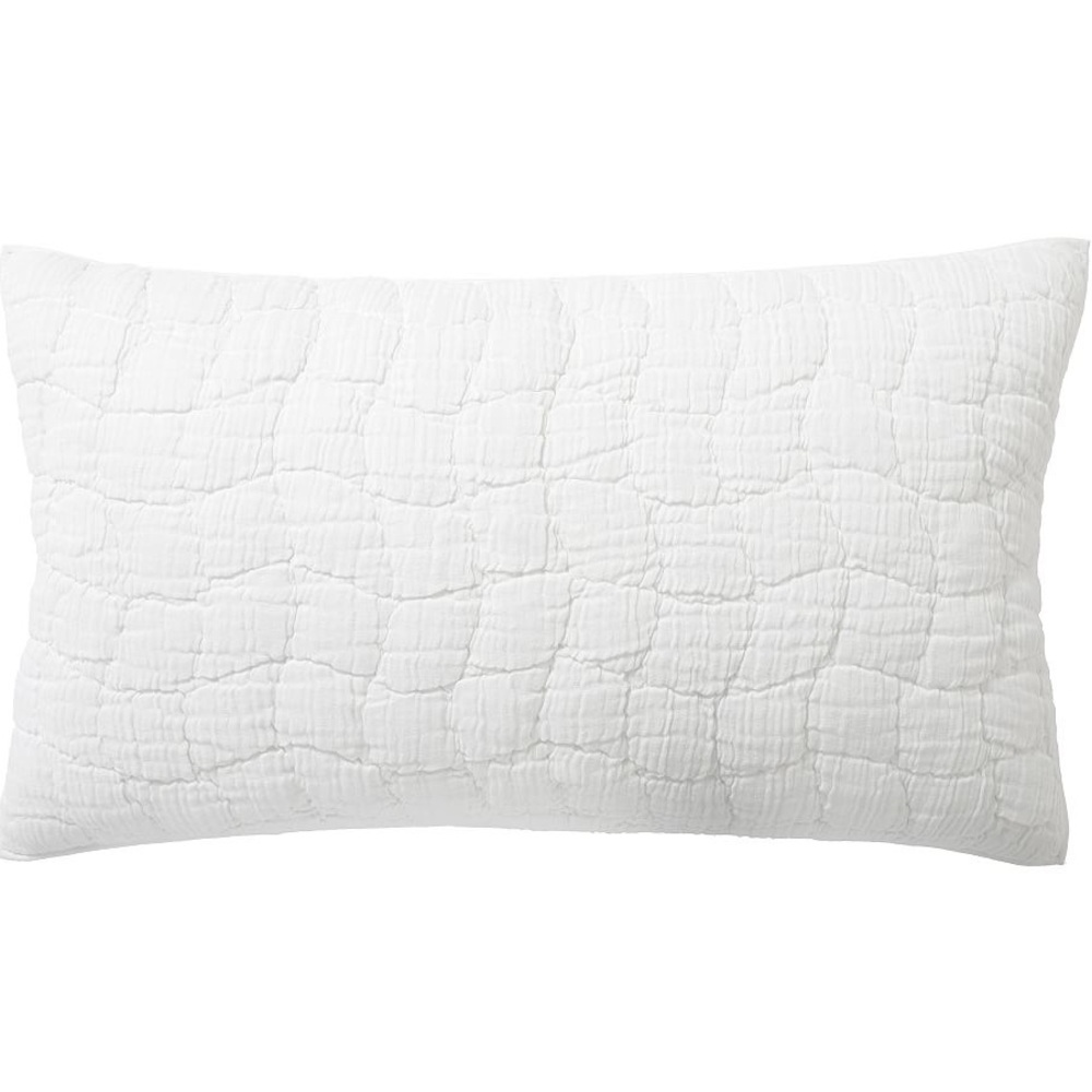 Pottery Barn Cloud Quilt King Sham